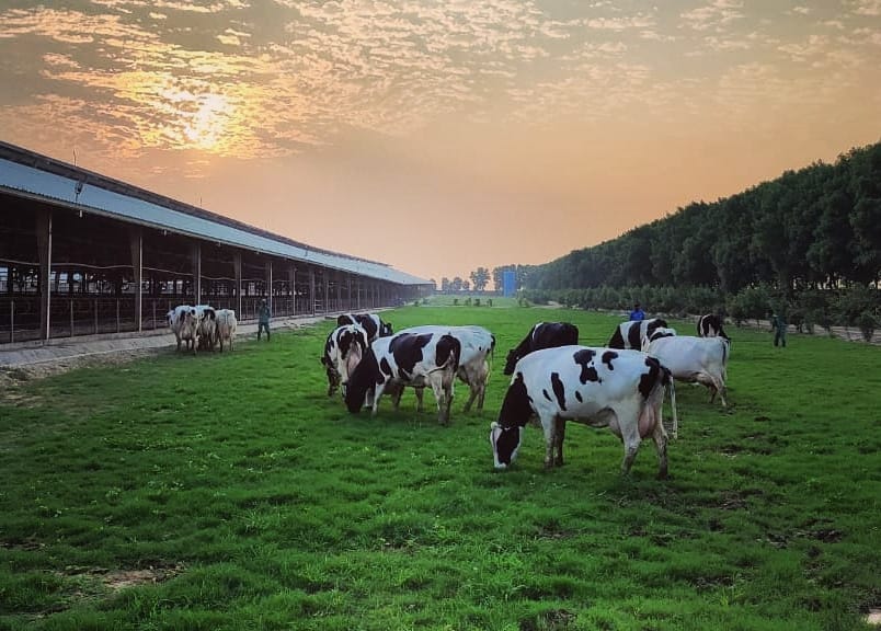 Nishat Dairy Plant